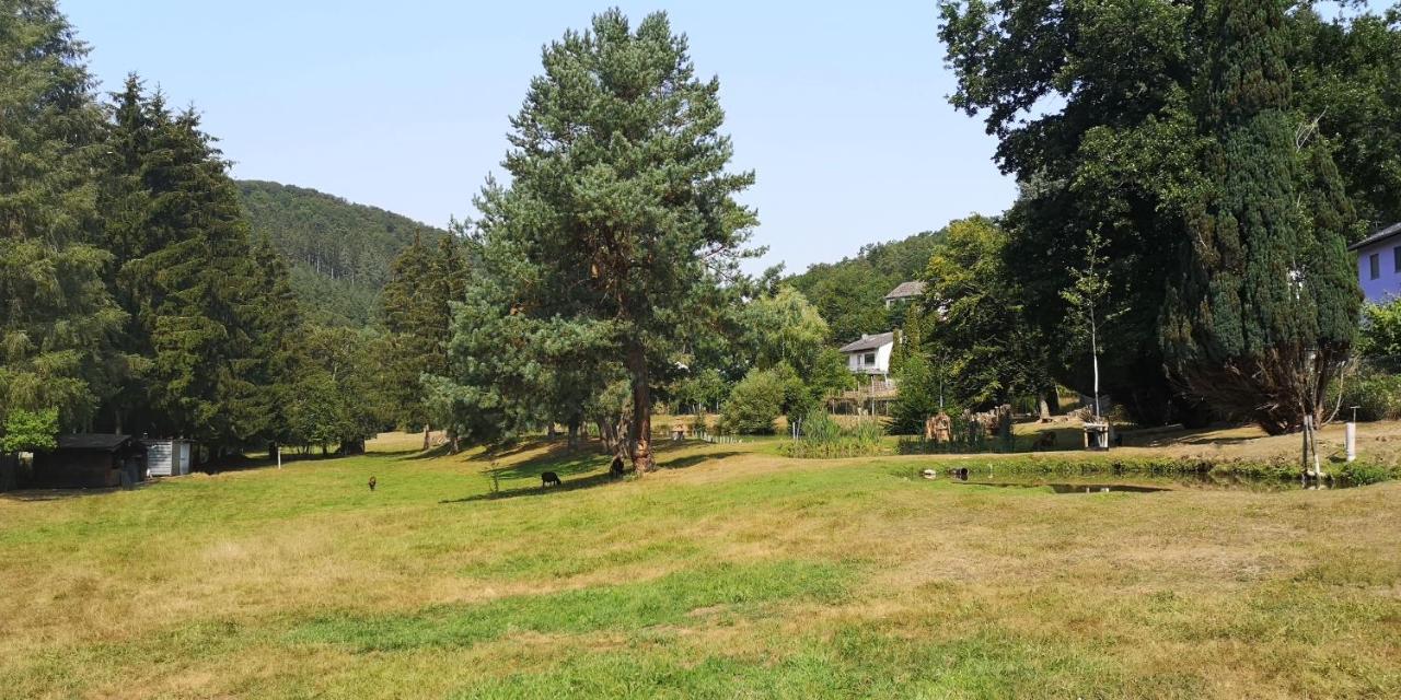 Ferienhaus Kylltal Villa Zemmer Dış mekan fotoğraf