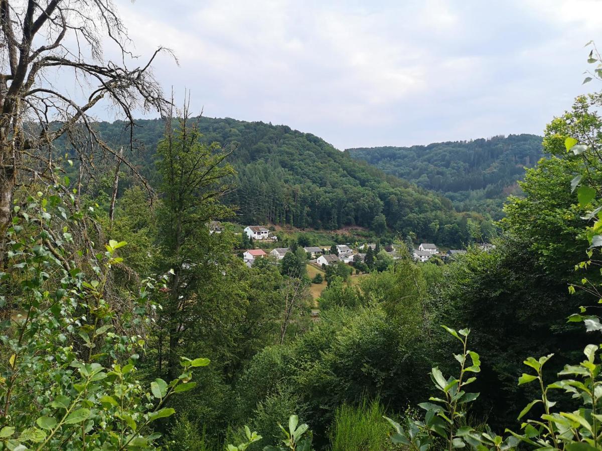 Ferienhaus Kylltal Villa Zemmer Dış mekan fotoğraf